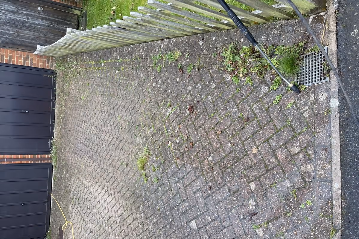 Herringbone block paved courtyard under a timber pergola, greened over with algae and with weeds and moss growing out of the joints